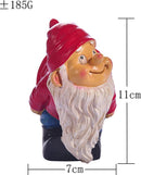 Grappige kabouterstandbeeld van Hoogwaardig Hars-tuindecorat