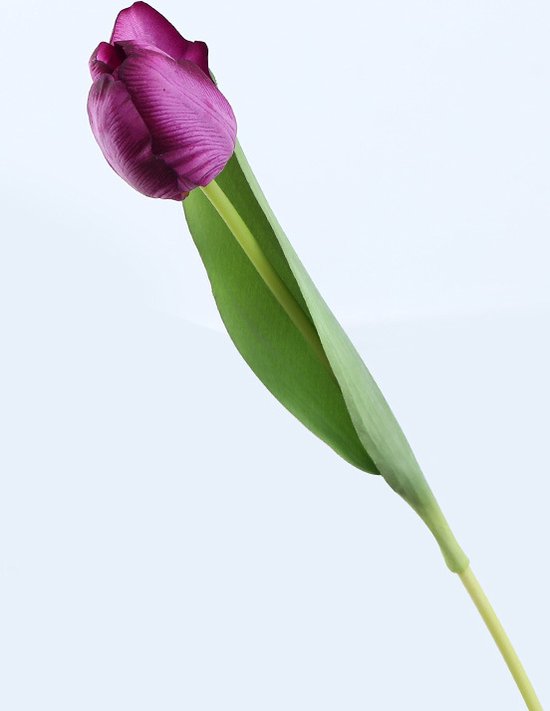 Merkloos 10 stuks Kunsttulp - Realistisch, Duurzaam, Paars
