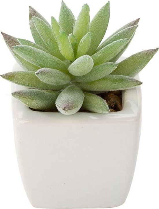 6x Kunstvetplantjes in Witte Keramieken Potjes - 8 cm