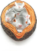 Realistisch Eekhoorn Tuindecoratie Beeldje van Hars 9x4x12.7