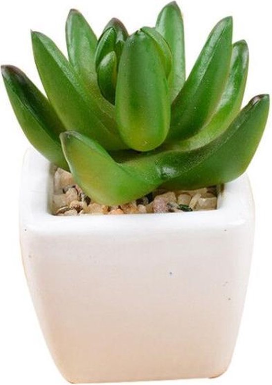 6x Mini kunst succulenten in witte keramieken pot - 8x6.6 cm
