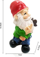 Ondeugende Tuinkabouter met Opgeheven Middelvinger