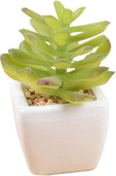 TDR -  6x kunst vetplantjes - Succulenten - Mini kamerplanten - in mooie gevormde witte keramieken potjes - ↑8 cm -Ø 6.6 cm