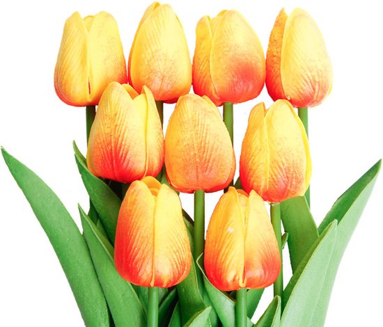 10 Kunst Tulp - Realistisch Oranje