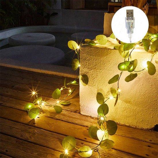 LED lichtslinger met eucalyptusbladeren - USB - 10m