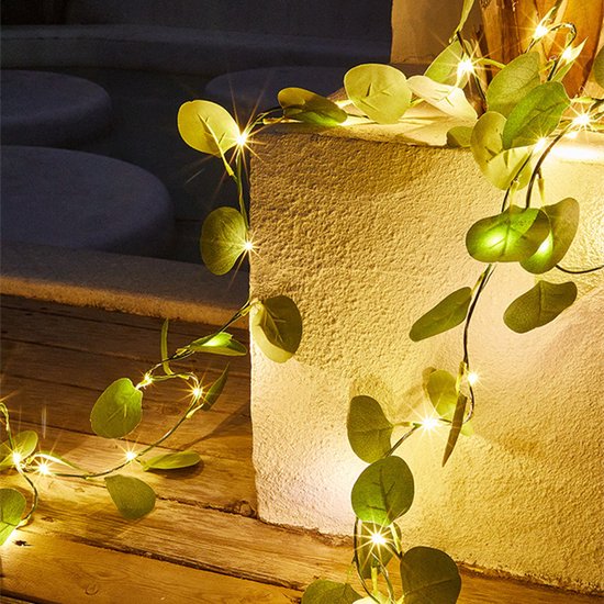 LED lichtslinger met eucalyptusbladeren - USB - 10m